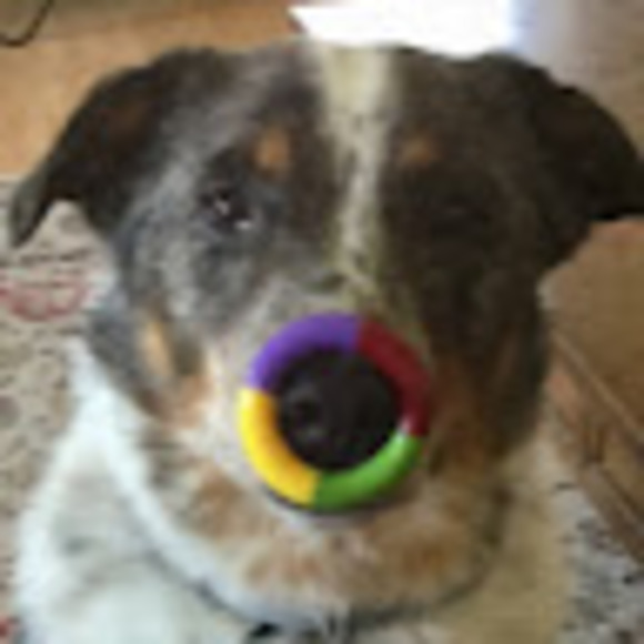 Meet your Posher, Marcus - Picture 1 of 1